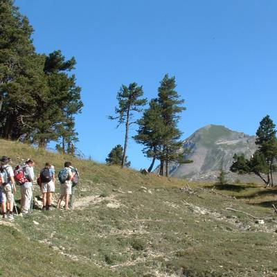 retrouvance walking in the Alps in the Buech Devoluy (1 of 23).jpg
